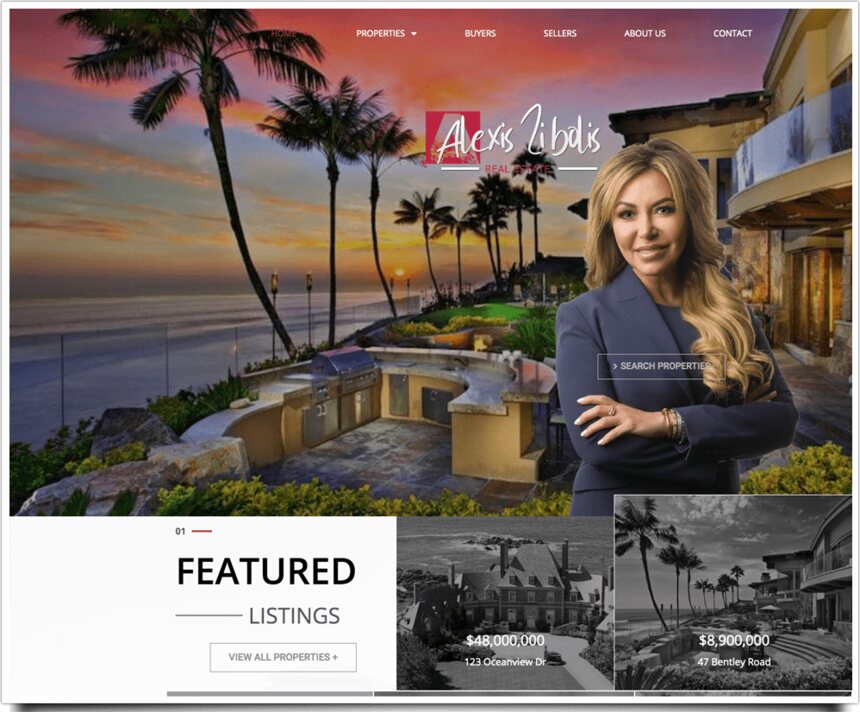 Alexis Zibolis website by Agenity