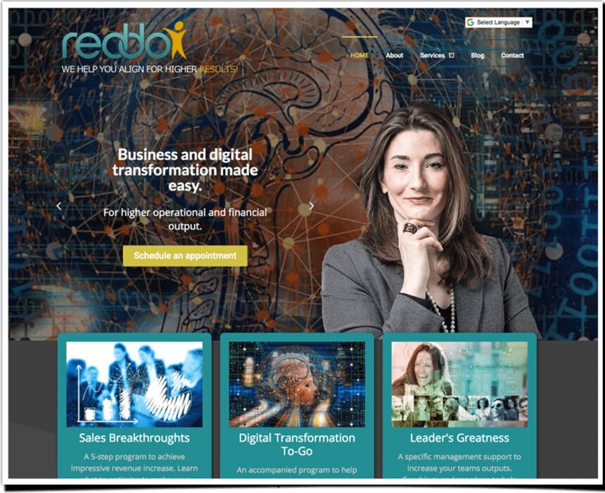 Reddo website by Agenity